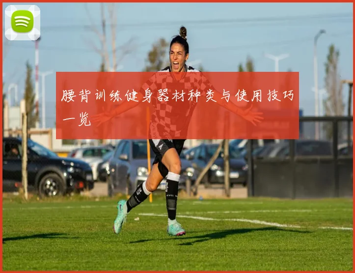 腰背训练健身器材种类与使用技巧一览