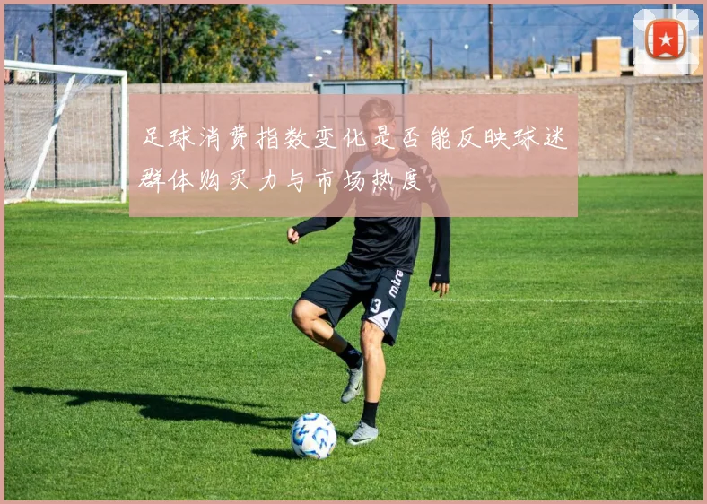 足球消费指数变化是否能反映球迷群体购买力与市场热度