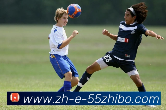 55直播平台生态图