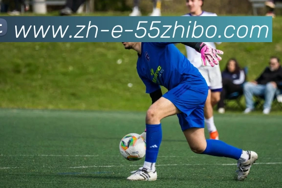 辅助工具 辅助工具